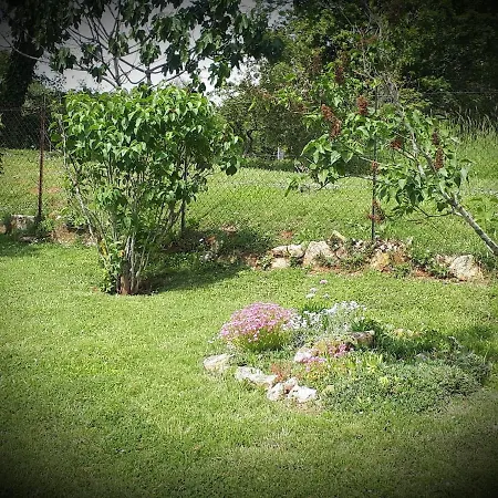 House Goga Holiday home Medulin